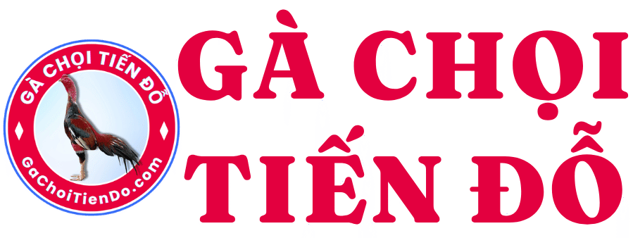 Gà Chọi Tiến Đỗ